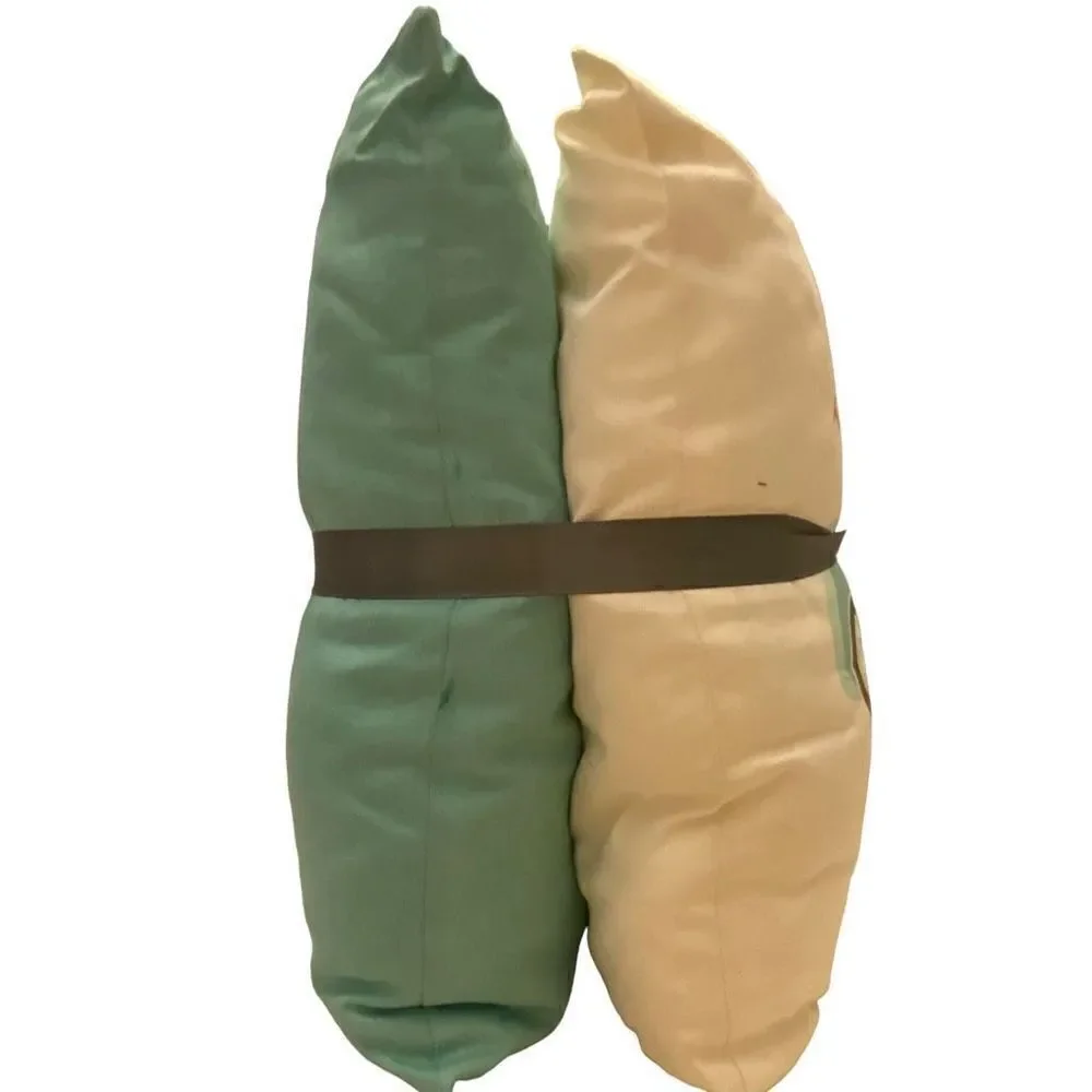 Modern‎ Southern Home Set of Two Decorative Cotton Fall Pillows NWT